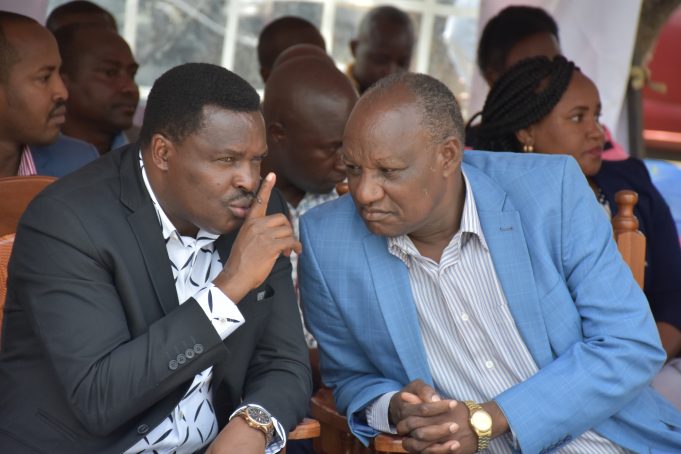 Njuki Kagwima