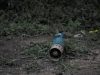 Panic as explosive found in Bula, Isiolo