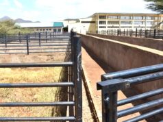 ’99 percent’ complete abattoir to take longer after Ruto’s announcement