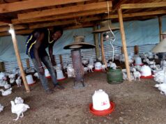 Ad: Most affordable & efficient heating for poultry