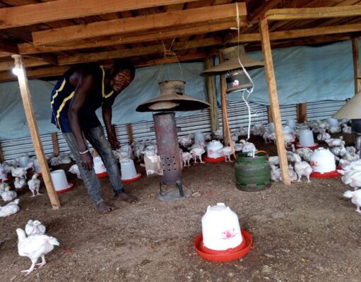 Ad: Most affordable & efficient heating for poultry